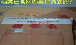 档案在官网哪里查询到的？