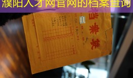 濮阳人才网官网的档案查询