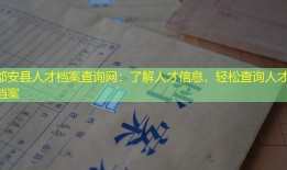 都安县人才档案查询网：了解人才信息，轻松查询人才档案