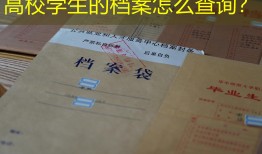 高校学生的档案怎么查询？