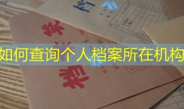 如何查询个人档案所在机构