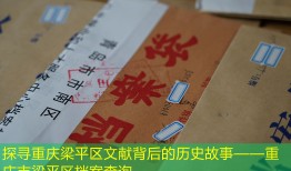 探寻重庆梁平区文献背后的历史故事——重庆市梁平区档案查询