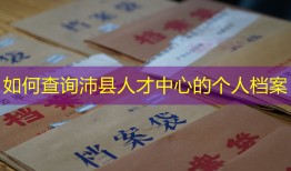 如何查询沛县人才中心的个人档案