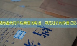 湖南省武冈市档案查询电话：寻觅过去的珍贵记忆
