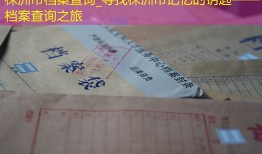 株洲市档案查询_寻找株洲市记忆的钥匙——档案查询之旅