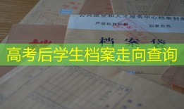 高考后学生档案走向查询