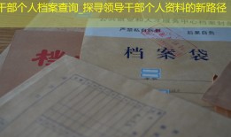 干部个人档案查询_探寻领导干部个人资料的新路径