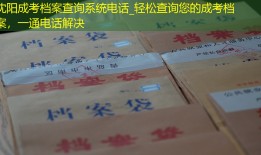 沈阳成考档案查询系统电话_轻松查询您的成考档案，一通电话解决