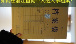 如何在浙江查询个人的人事档案？