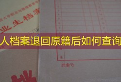个人档案退回原籍后如何查询？
