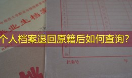 个人档案退回原籍后如何查询？