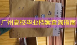 广州高校毕业档案查询指南