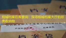 相城档案在库查询：探寻相城档案大厅的珍贵收纳物