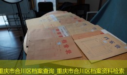 重庆市合川区档案查询_重庆市合川区档案资料检索
