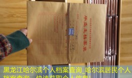 黑龙江哈尔滨个人档案查询_哈尔滨居民个人档案查询，快速获取个人信息!