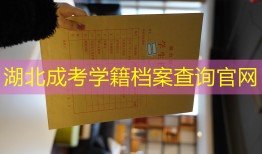 湖北成考学籍档案查询官网