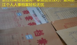 浙江档案怎么查询？掌握这些技巧，查询浙江个人人事档案轻松无忧