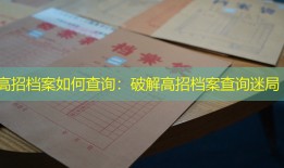 高招档案如何查询：破解高招档案查询迷局
