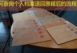 如何查询个人档案退回原籍后的流程？