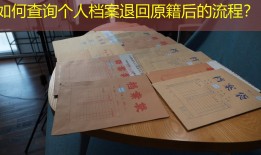 如何查询个人档案退回原籍后的流程？