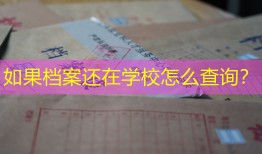 如果档案还在学校怎么查询？