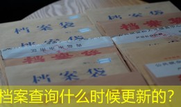 档案查询什么时候更新的？