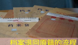 档案退回原籍的流程