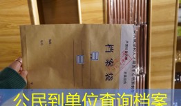 公民到单位查询档案