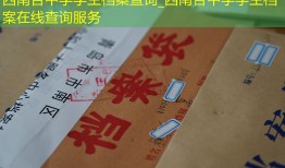 西南合中学学生档案查询_西南合中学学生档案在线查询服务