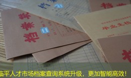 临平人才市场档案查询系统升级，更加智能高效！