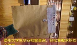 德州大学生毕业档案查询，轻松掌握求职核心信息