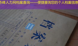 赤峰人力网档案查询——便捷查询您的个人档案信息