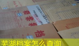 芜湖档案怎么查询