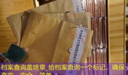 档案查询盖啥章_给档案查询一个标记，确保真实、安全、简单。