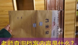老师查询档案内容是什么？