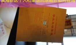 滨海新区个人档案退回原籍后如何查询