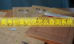 高考档案短信怎么查询系统