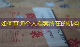 如何查询个人档案所在的机构