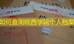 如何查询皖西学院个人档案