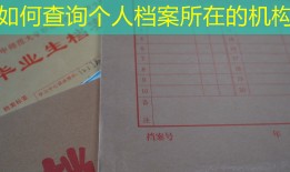 如何查询个人档案所在的机构