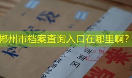 郴州市档案查询入口在哪里啊？