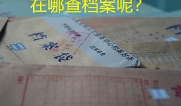 在哪查档案呢？
