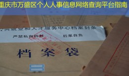 重庆市万盛区个人人事信息网络查询平台指南