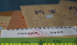 宜春市档案查询官网：精准查询官方网站