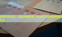 发现你的过去，探索你的未来：中国个人档案信息查询平台