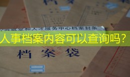 人事档案内容可以查询吗？