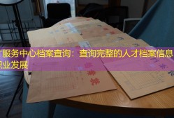 人才服务中心档案查询：查询完整的人才档案信息，助力职业发展