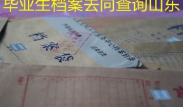 毕业生档案去向查询山东