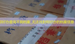 郑好办查询不到档案_无法找到郑好办的档案信息