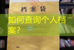 如何查询个人档案？